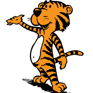 Team Page: Barbara's Caregivers Tiger Team